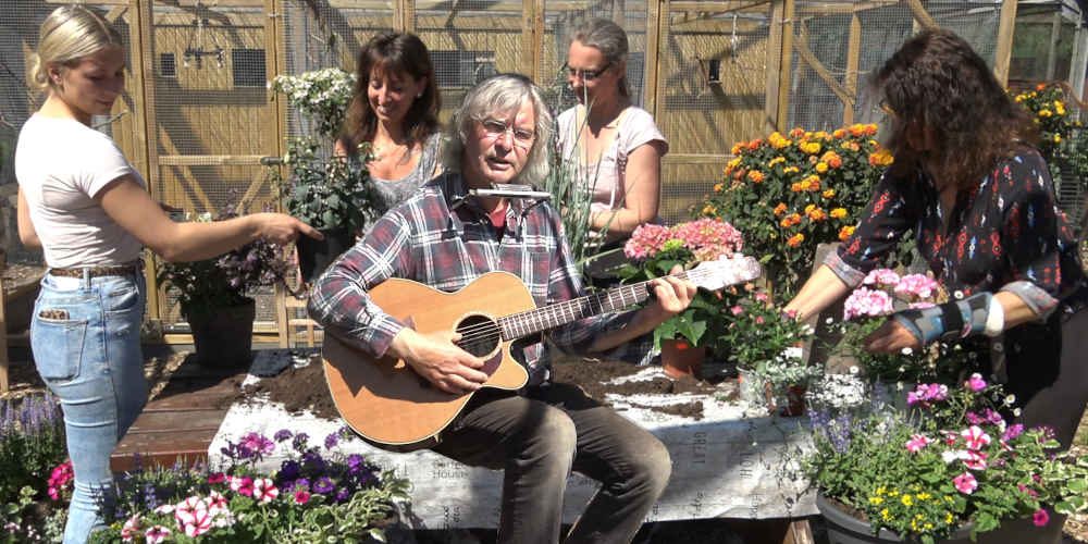 Foto von Floristinninen während der Gestaltung einer Pflanzwanne, während der Musiker Jörgel auf der Gitarre spielt.
