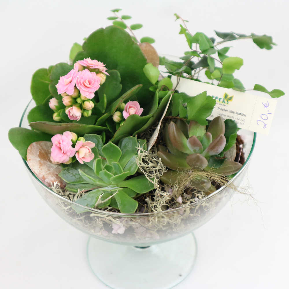 Dieses elegante Glasgefäß wurde mit Kalanchoe und weiteren Sukkulenten sowie Farn bepflanzt.