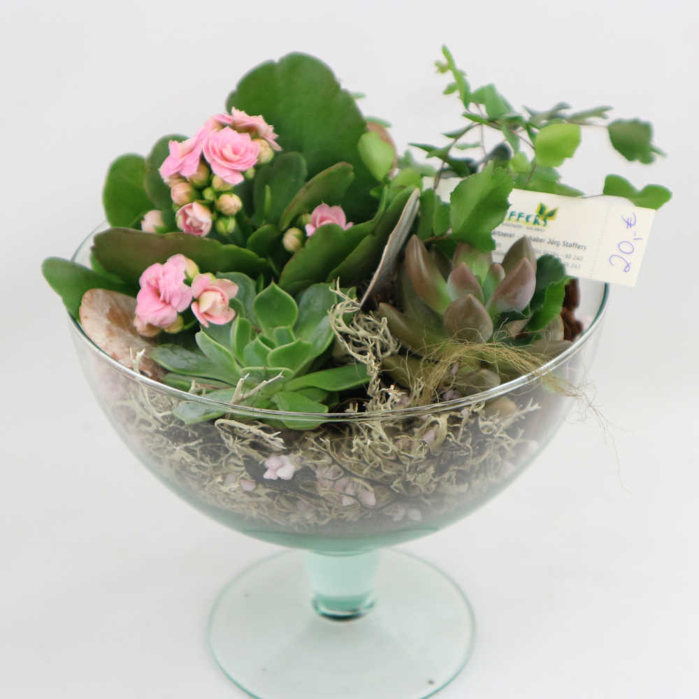 Dieses elegante Glasgefäß wurde mit Kalanchoe und weiteren Sukkulenten sowie Farn bepflanzt.