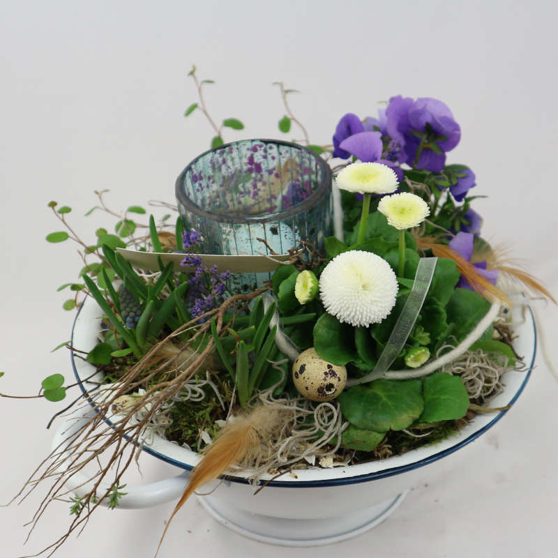 Eine weiße Pflanzschale mit lila Hornveilchen, weißen Bellis, Muehlenbeckia sowie einem Kerzenglas.