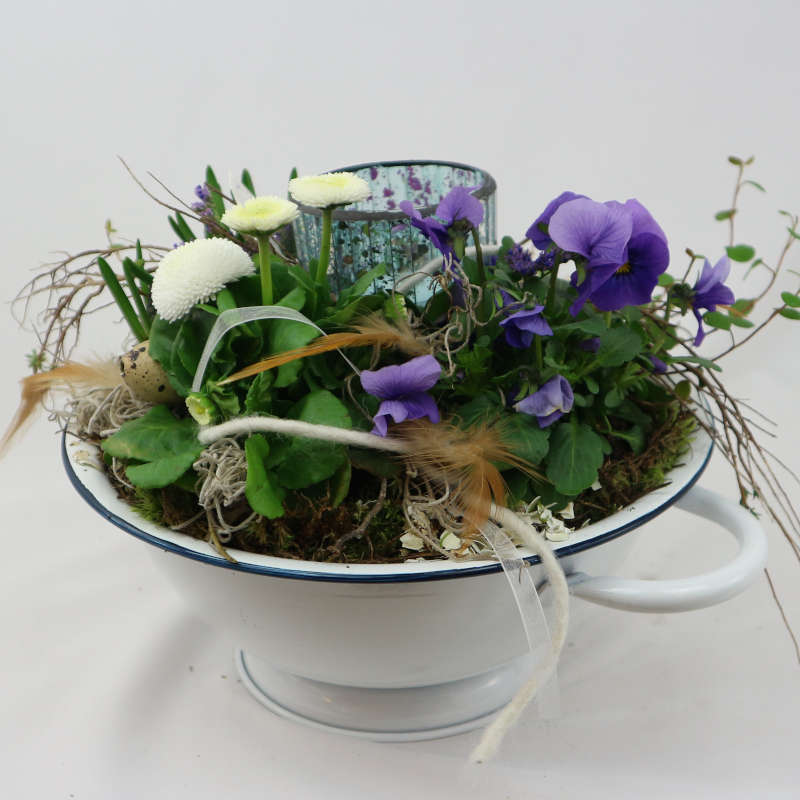 Eine weiße Pflanzschale mit lila Hornveilchen, weißen Bellis, Muehlenbeckia sowie einem Kerzenglas.