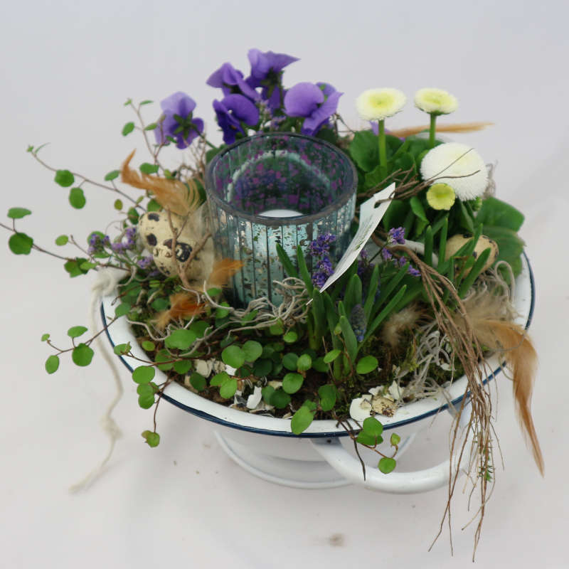 Eine weiße Pflanzschale mit lila Hornveilchen, weißen Bellis, Muehlenbeckia sowie einem Kerzenglas.