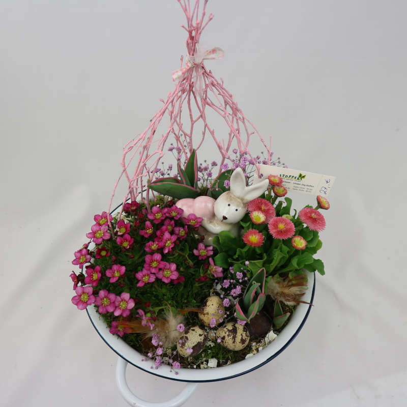 Zwischen den rosa Blüten von Teppichphlox, Bellis und Schleierkraut versteckt sich ein Häschen.