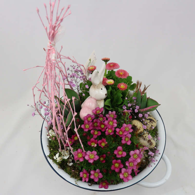 Zwischen den rosa Blüten von Teppichphlox, Bellis und Schleierkraut versteckt sich ein Häschen.