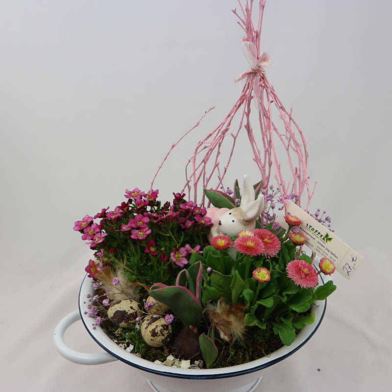 Zwischen den rosa Blüten von Teppichphlox, Bellis und Schleierkraut versteckt sich ein Häschen.